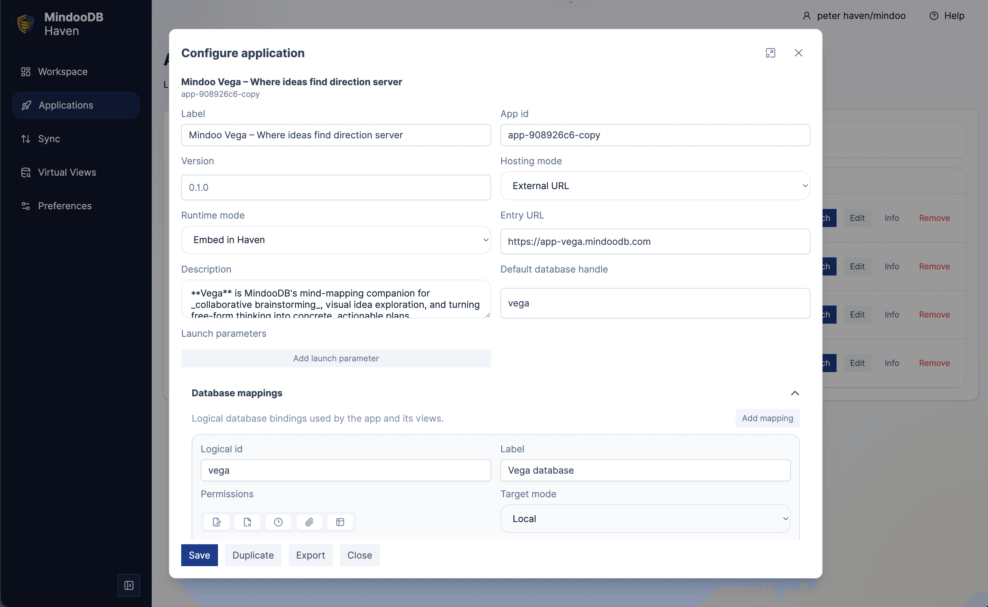 Haven application properties panel showing logical database mappings for an app
