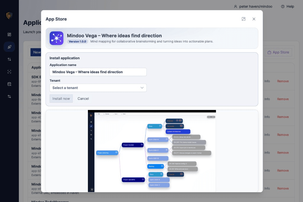 Haven App Store install step with editable application name and tenant selection