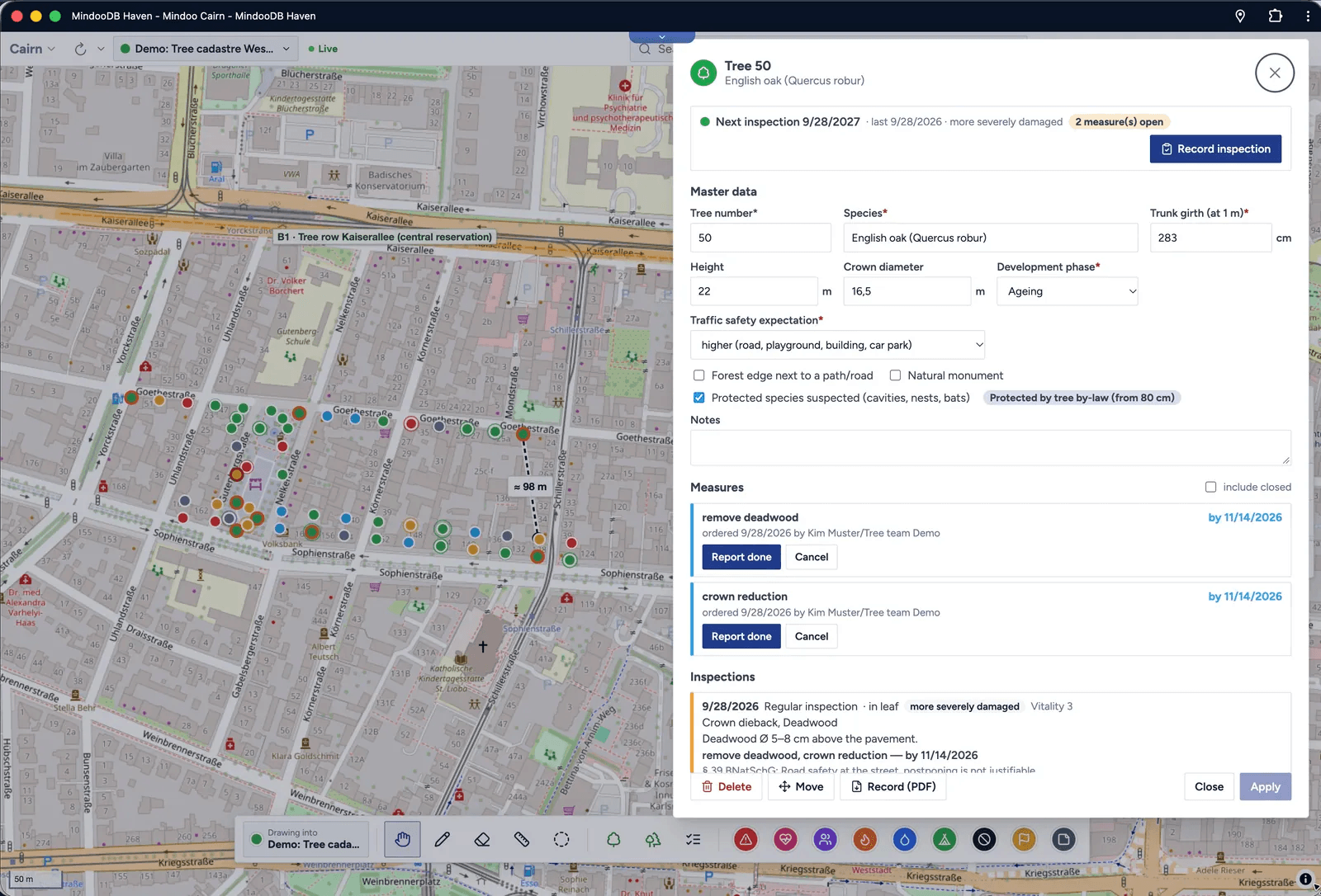 Mindoo Cairn tree dialog for an English oak with master data, the next inspection date, two open measures with Report done buttons, and the latest inspection