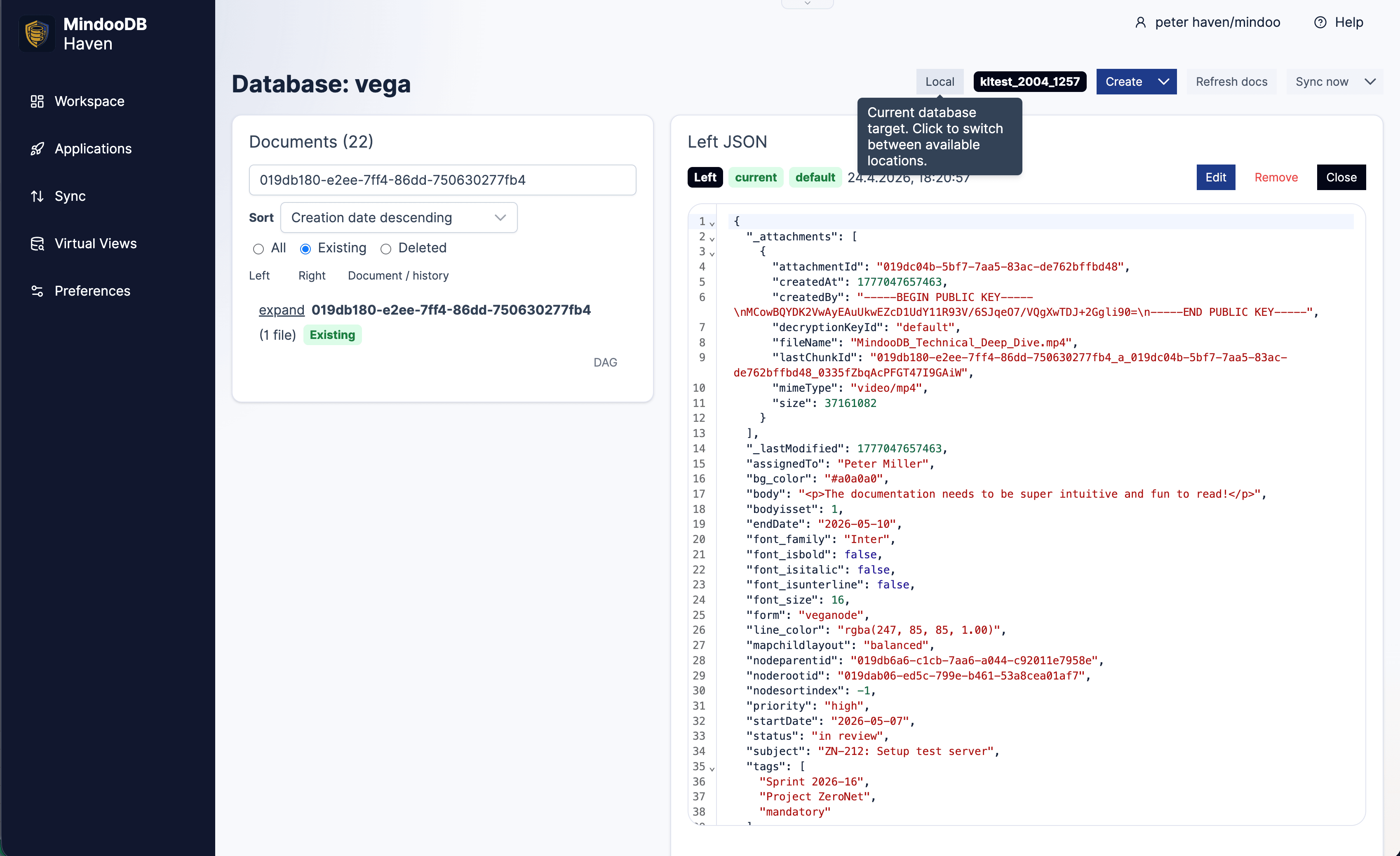 Haven database browser highlighting the current database target switcher between local and remote replicas