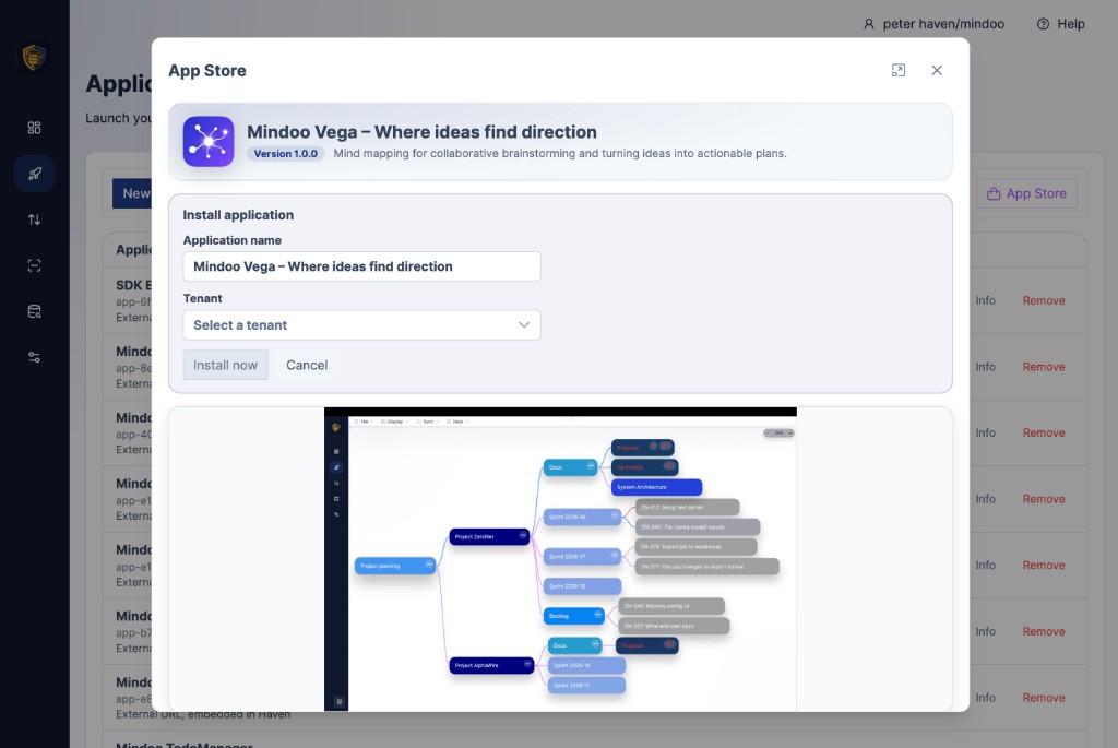 The install dialog in the Haven App Store, asking for an application name and which tenant to use for storage